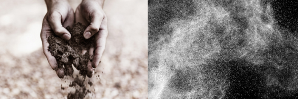 Hands in the soil depicting earth