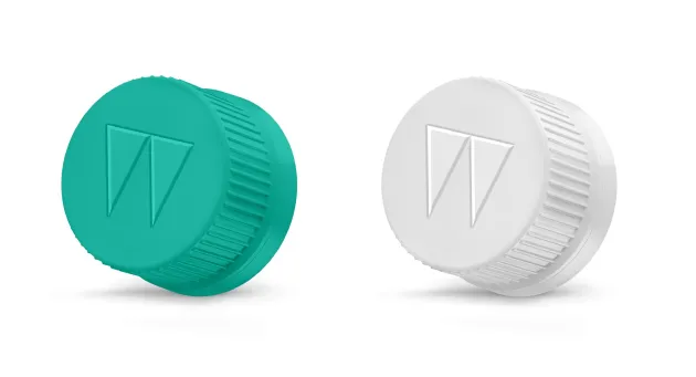 Woods Visual Identity Caps