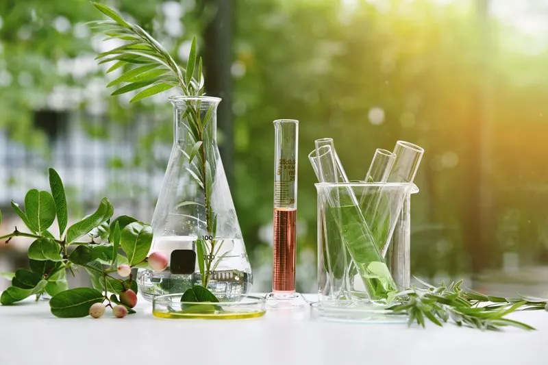Clean Beauty – Dishing The Dirt On The Latest Beauty Trend.
