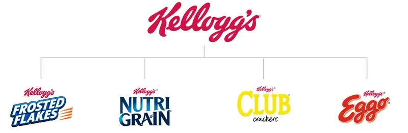 BRAND ARCHITECTURE FOR SMALLER BRANDS
