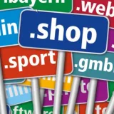 The hype around the Top Level Domains
