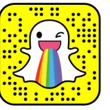 The Decline of Snapchat and Domination of Facebook