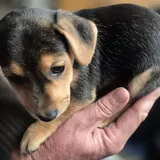 TINY BRANDS. BIG REALITY CHECKS. HOW SMALL BRANDS ACTUALLY GROW