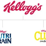 BRAND ARCHITECTURE FOR SMALLER BRANDS