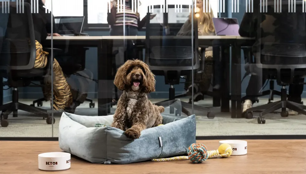 Pull agency office London